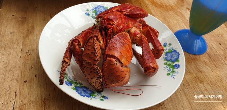 카모테스(Camotes). 세부에서 당일치기. 코코넛 크랩과 정글게를 맛보다. 카모테스(Camotes). 세부에서 당일치기. 코코넛 크랩과 정글게를 맛보다.