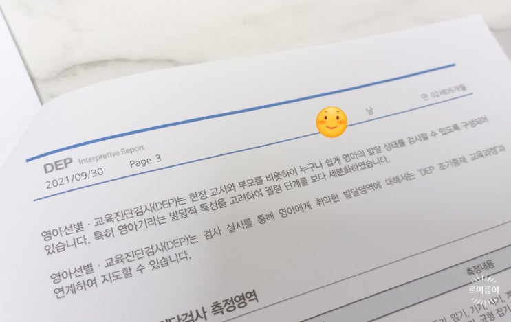 발달지연 30개월 아기 영유아발달검사 DEP 검사
