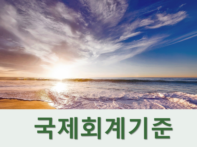  IFRS 국제회계기준 정의 및 특징