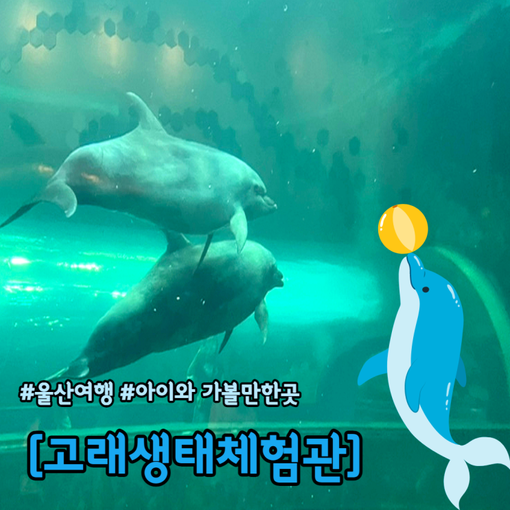  울산여행 울산고래박물관 아이와 가볼만한곳
