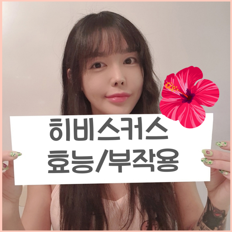  다이어트에 좋은 히비스커스 효능과 부작용 알아보기