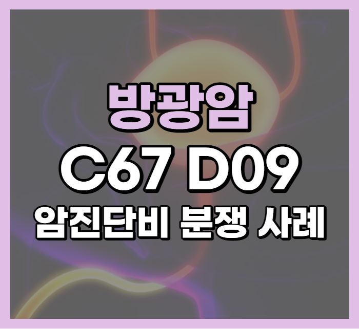  방광암 유두상요로상피암 C67 암진단비 분쟁