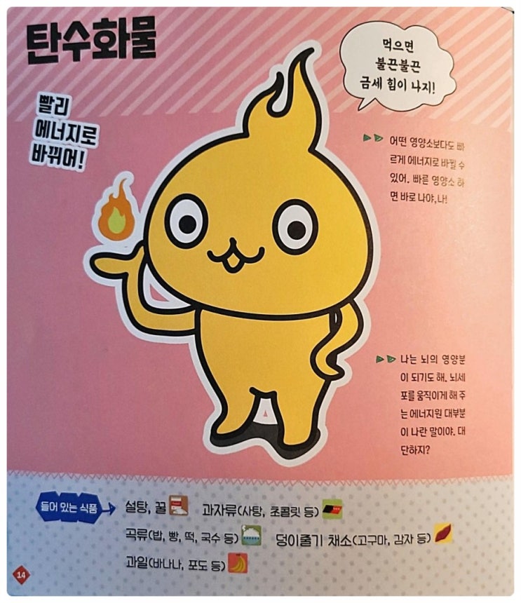  탄수화물 에너지 뇌 지방 비타민 B1 단맛 설탕 꿀