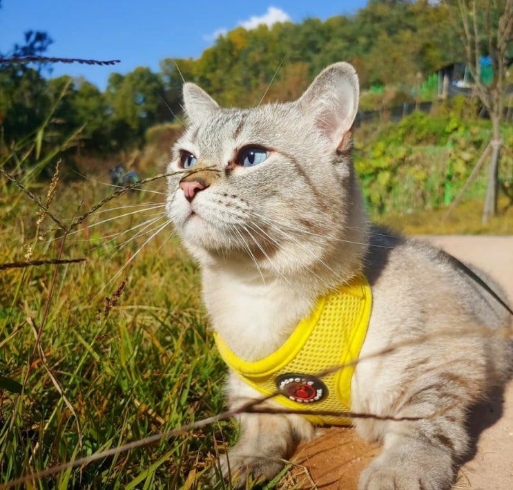  아담아 힘내