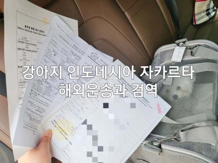  강아지 인도네시아 자카르타 해외운송과 검역