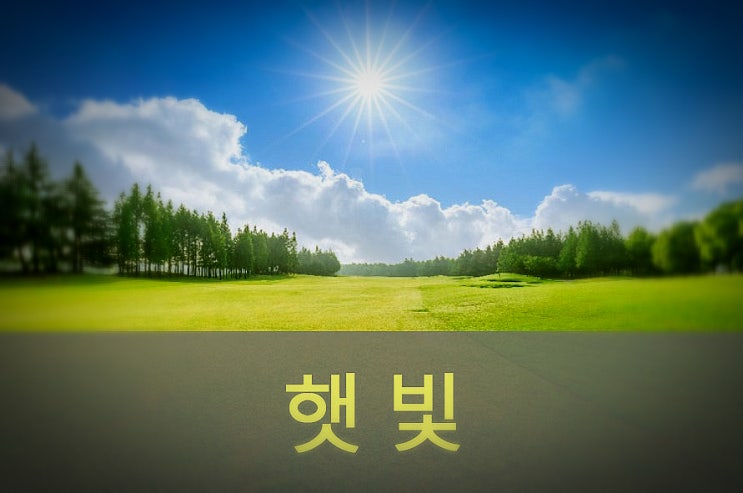  햇빛 일조량이 우울증과 건강에 미치는 영향