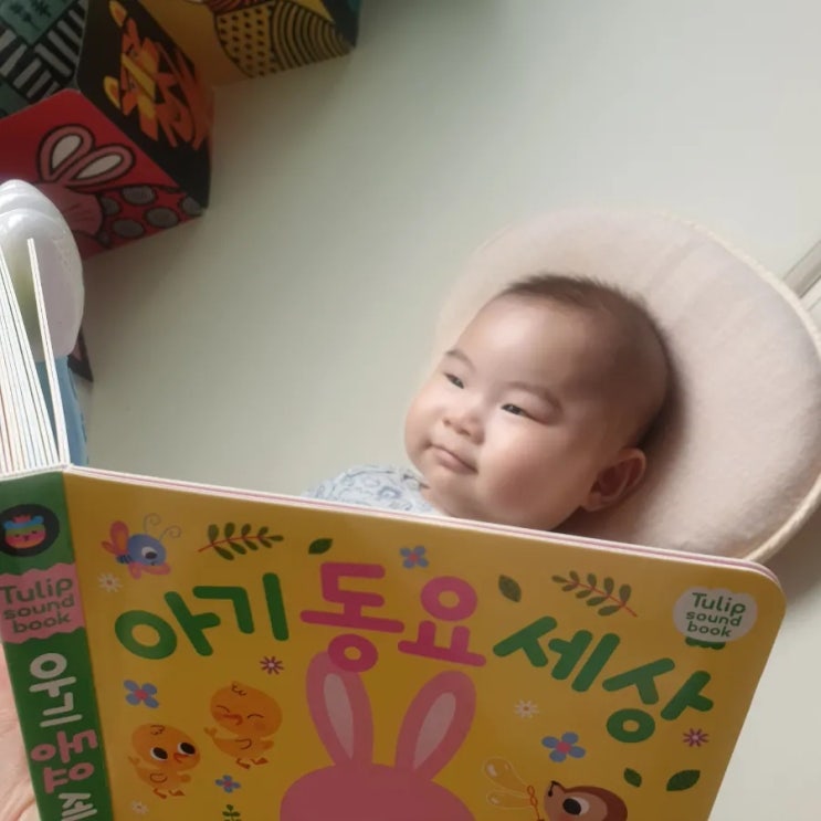  [4개월 육아] 신생아 최애 사운드북/튤립 사우드 북 (아기 동요세상/오감놀이동요