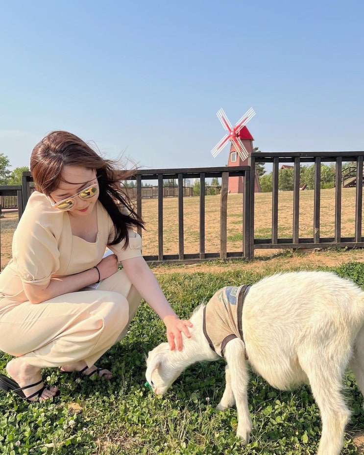  힐링 가득한 근교 나들이, 안성팜랜드 다녀왔어요! (+예매, 체험승마, 공연정보)
