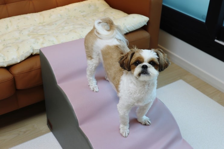  애견계단 펫노리터 강아지 스텝 예쁜데 성능도 좋아