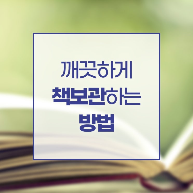  책을 깨끗하게 보관하는 책보관 방법