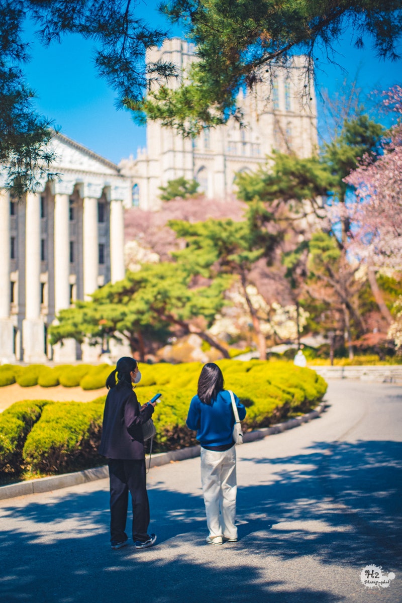 50mm 사진이야기] 봄날의 캠퍼스 feat. 라이카 M10 : 네이버 블로그, image size:800x1200