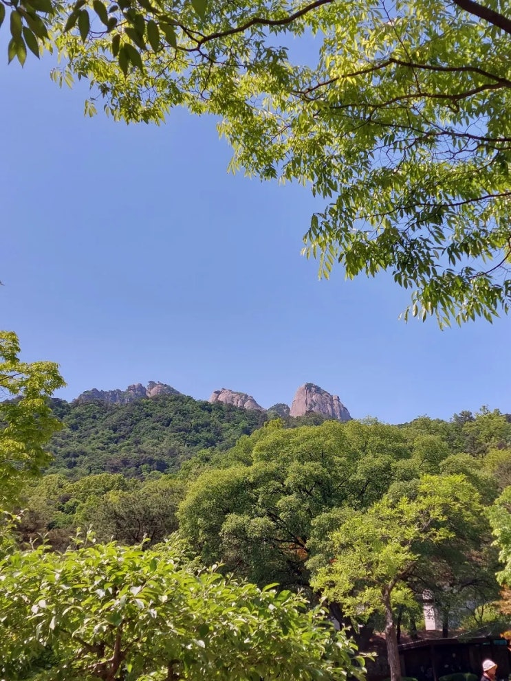 서울 산책코스 안산 자락로 안산 등산로 편안히 걷기좋은 산책로