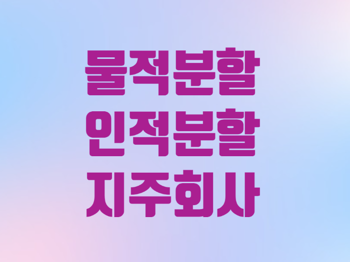  주식용어 물적분할 인적분할 지주회사