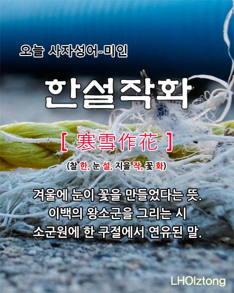  [869] 오늘 사자성어 한설작화(寒雪作花)의 뜻은?