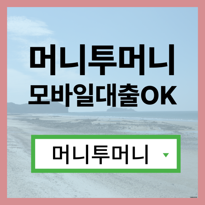  모바일대출, 머니투머니!