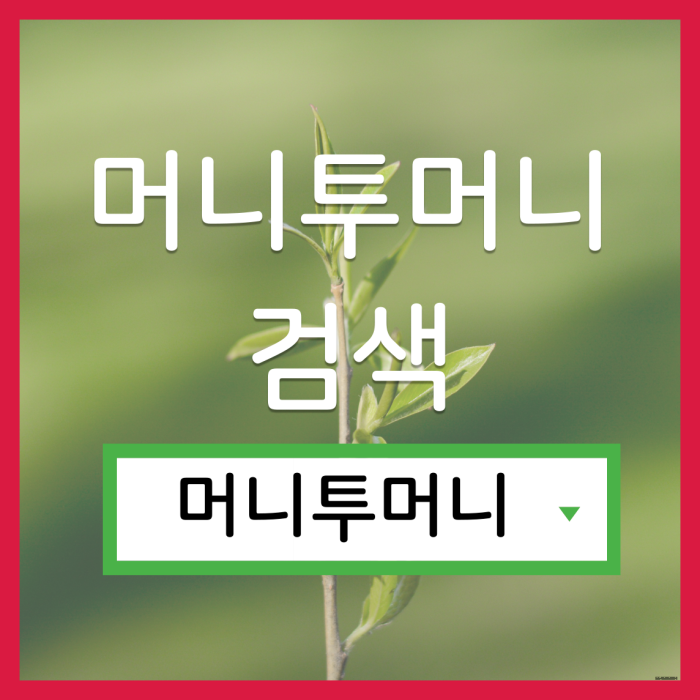  무담보대출, 머니투머니!