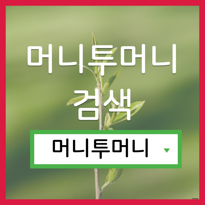 무담보대출, 머니투머니!