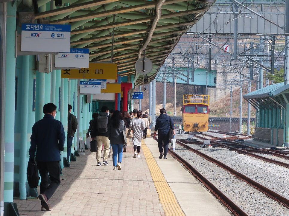 앞목산 사진 3