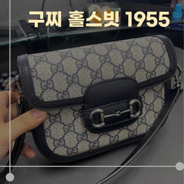  구찌 홀스빗 1955와 만남