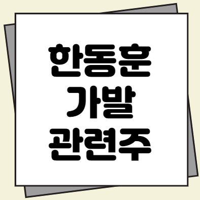  한동훈 가발, 한동훈 관련주, 한동훈 와이프 총정리