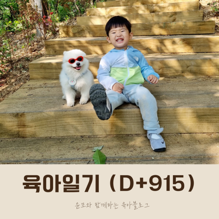 30개월 너와 행복한 육아시간 (feat. 육아일기)