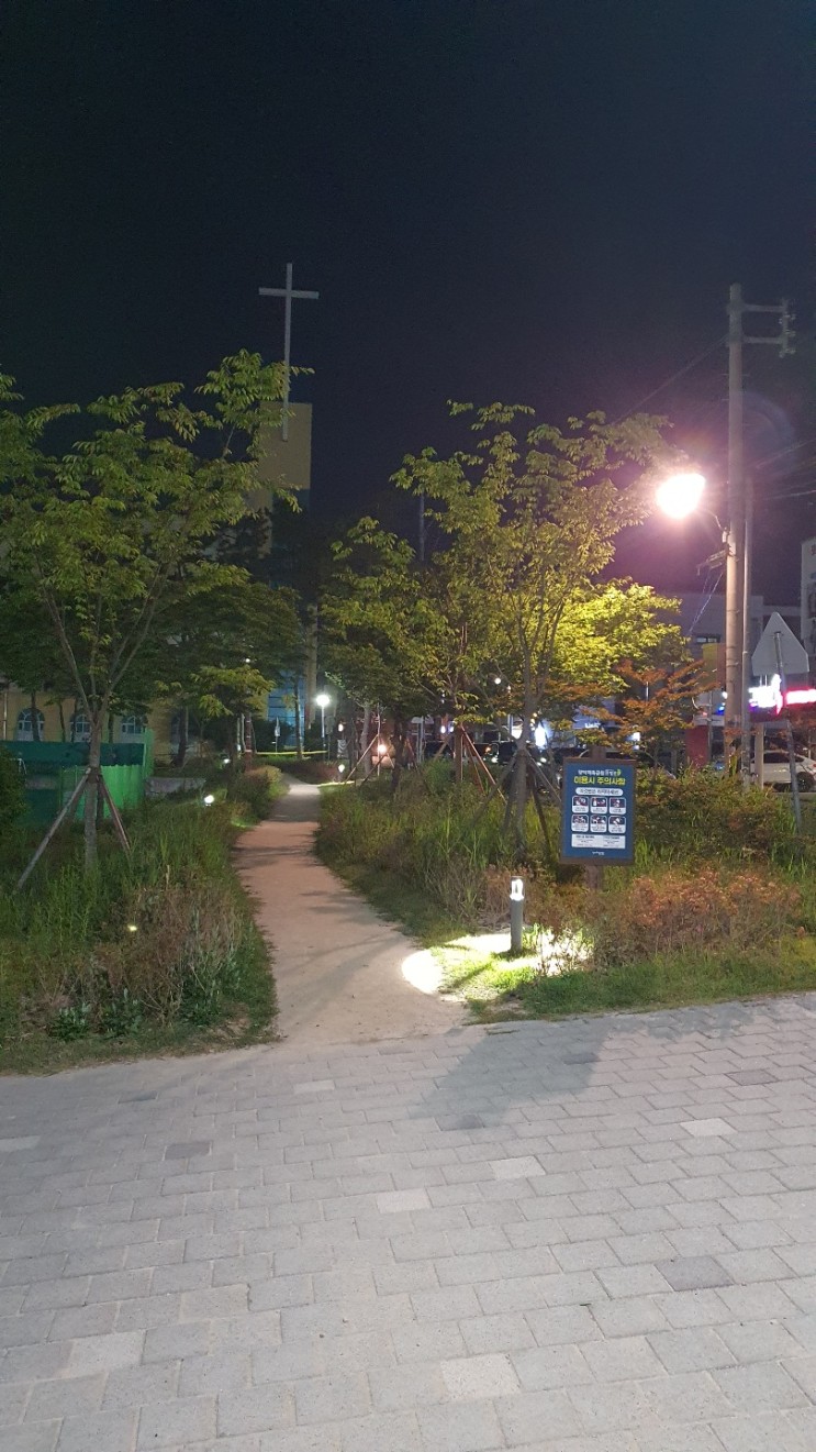 봄 밤 산책 (포항 양덕체육공원)