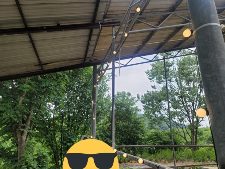  [일상일기] 슬기로운 시골생활