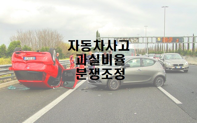  자동차사고 과실비율분쟁 심의 위원회