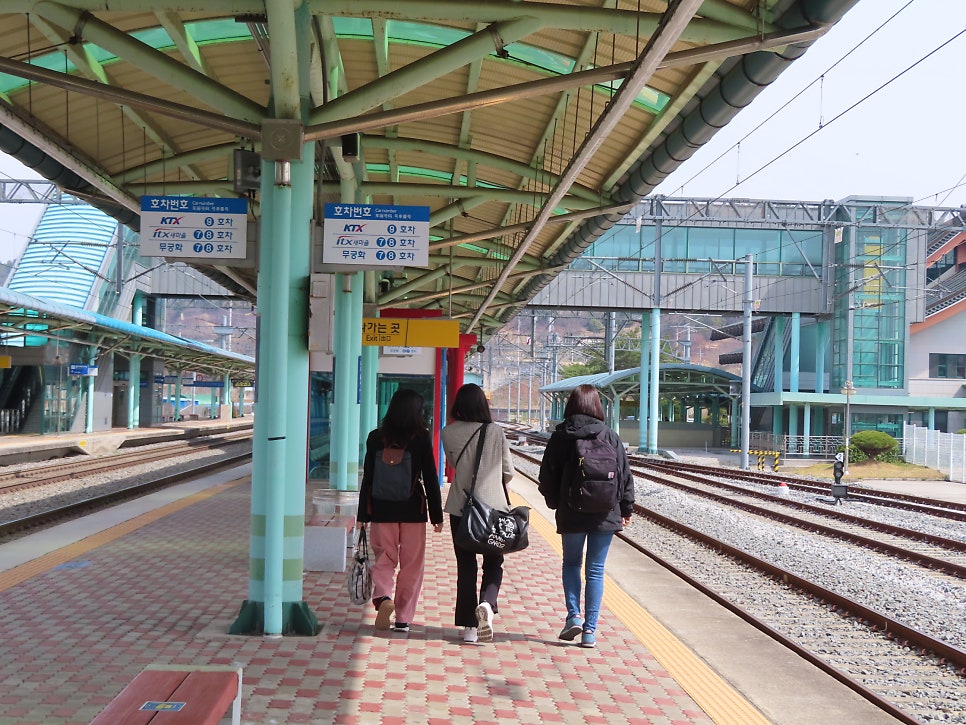 앞목산 사진 5