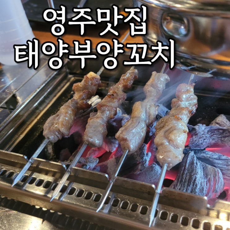  영주 양꼬치 태양부 양꼬치 주변인들 추천으로 방문 만족 99%
