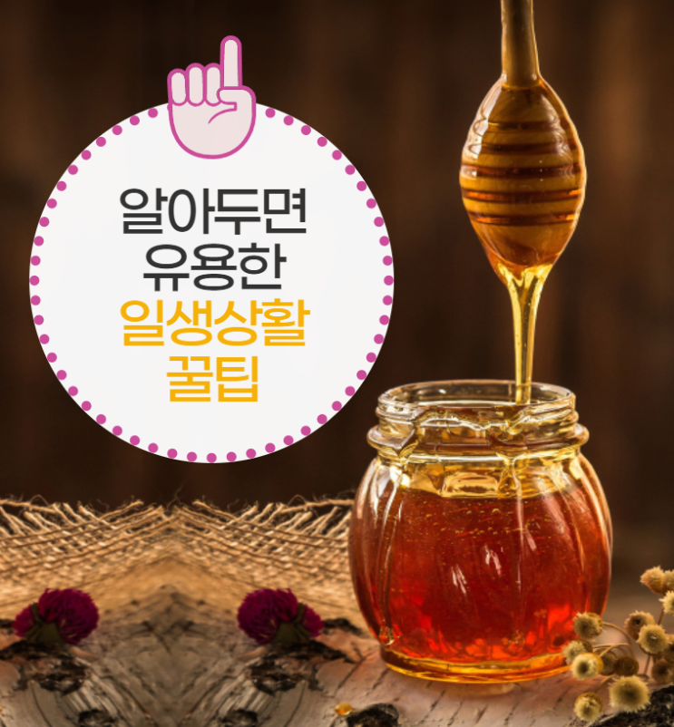  알아두면 유용한 생활 꿀팁 알아볼까요?