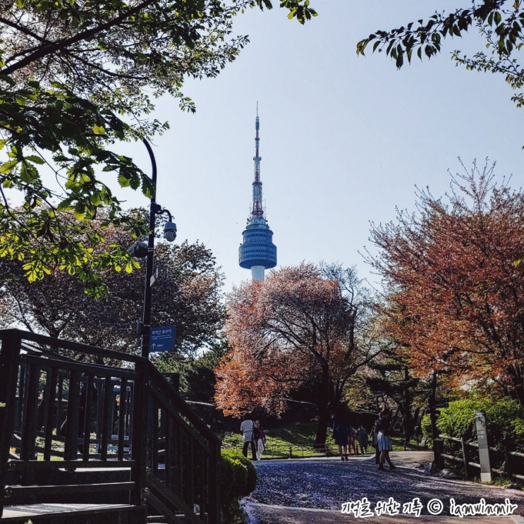 동대입구역에서 시작한 남산 등반(?)