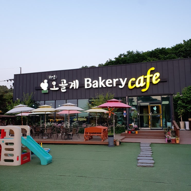 [강원/원주] 하얀 오골계 베이커리 카페 - 원주 베이커리 카페! 카페와 브런치를 즐기기 좋은 곳!