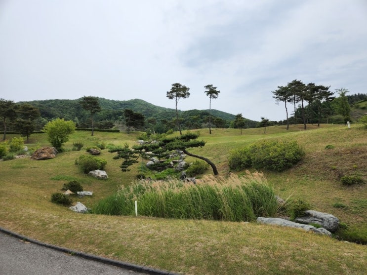  국가 유공자 / 행정사 추대식