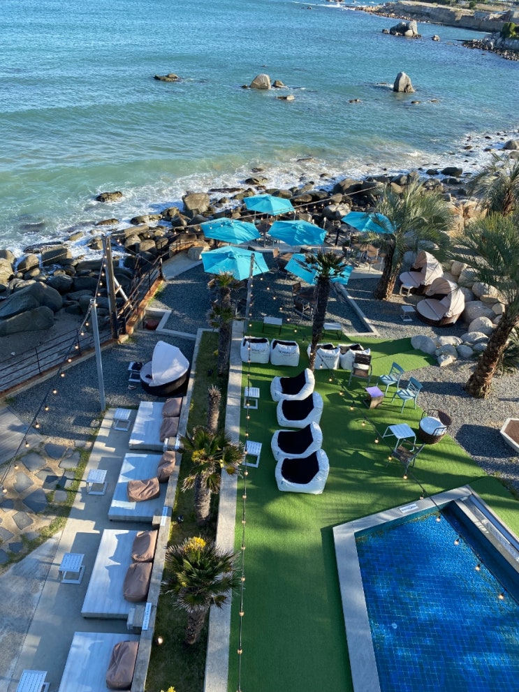  [울산]울산 오션뷰 카페/제주도 같은 울산 간절곶 여행 디저트 카페! 호피폴라!
