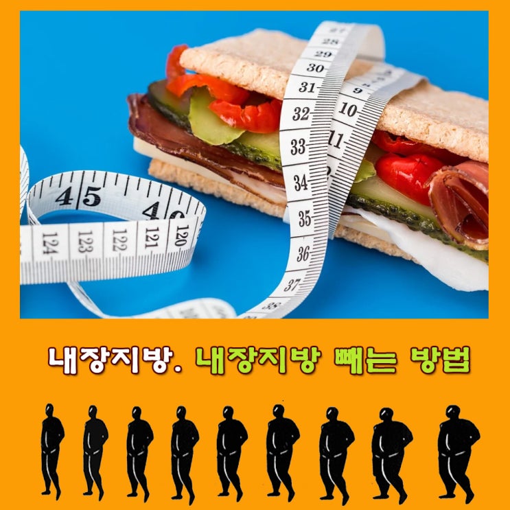  내장지방. 내장지방 빼는 법. 내장지방 분해에 좋은 약초