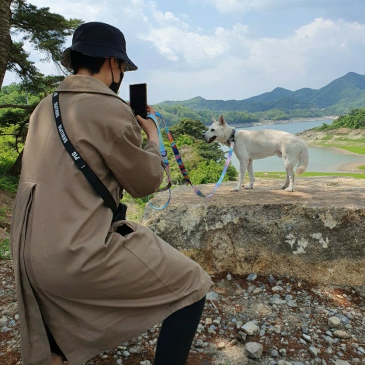 중형견 리암의 강아지 사료 변천사