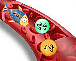 지방산 포화 불포화 콜레스테롤 오메가 3 글리세롤