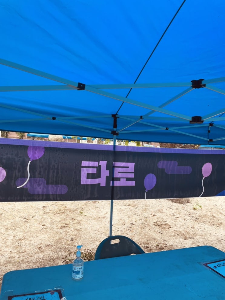  늦은 축제 후기 덕성여대 타로행사/성북동 꽃길걷자 사주타로