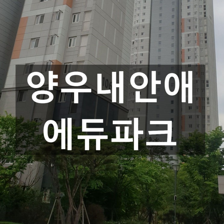  용인시 처인구, 햇살과 평온함을 더한 고림동 양우내안애 에듀파크