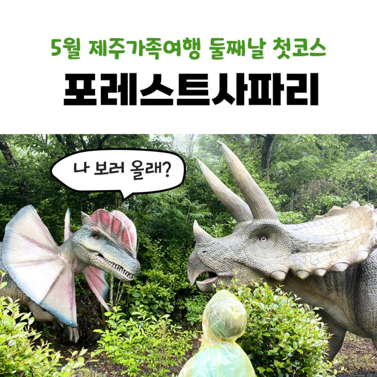 5월 제주 가족여행 둘째날 코스 포레스트사파리