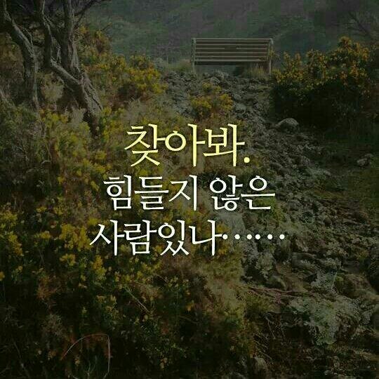  힘들 때 읽어 보면 힘이되는 6가지 짧은글.