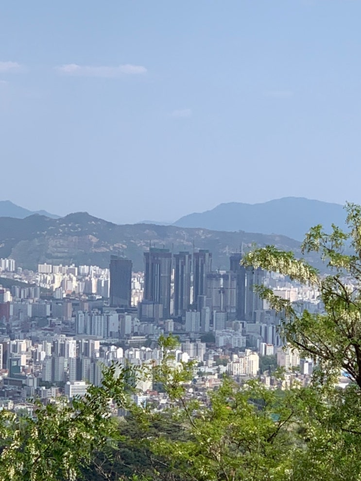  주택 청약 통장 종류