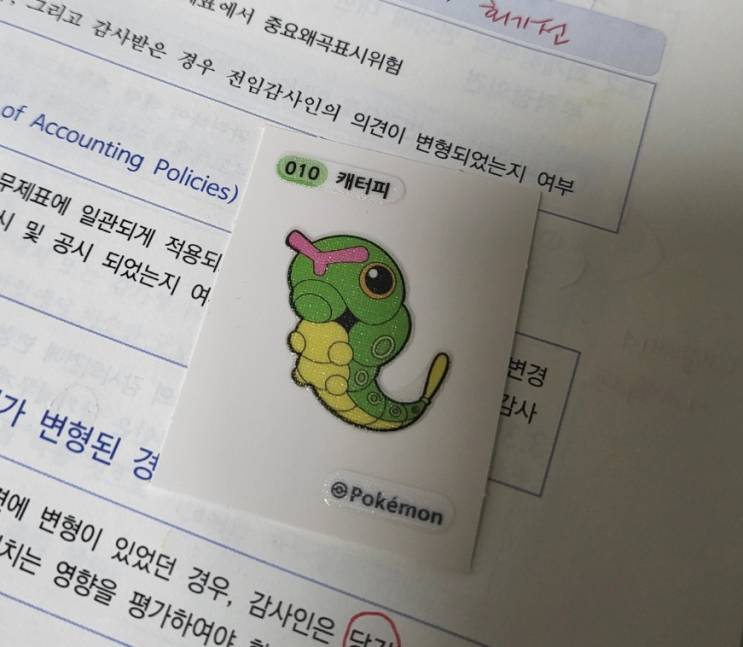  CPA준비하는 걔소리