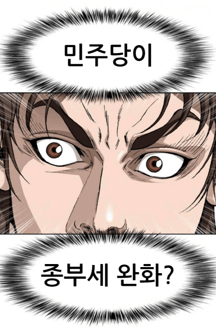  민주당이... 종부세 완화?