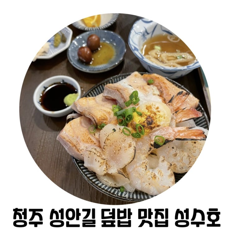 [청주 맛집] 청주 성안길 일식 덮밥 맛집 '성수호'