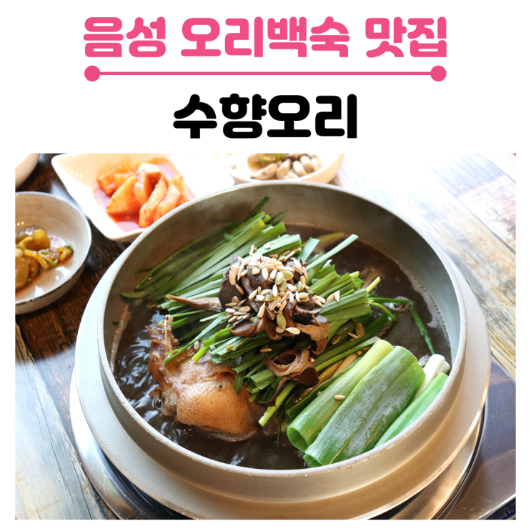 음성 오리백숙 맛집, 삼성면 수향오리의 보양식- 능이오리백숙 (ft. 음성 골프장 근처)