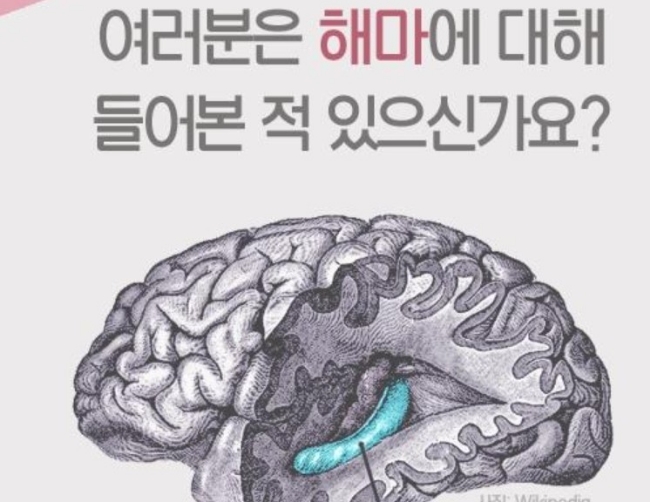 나의 뇌세포 뇌에 좋은 음식과 좋은 기억력 향상시키기