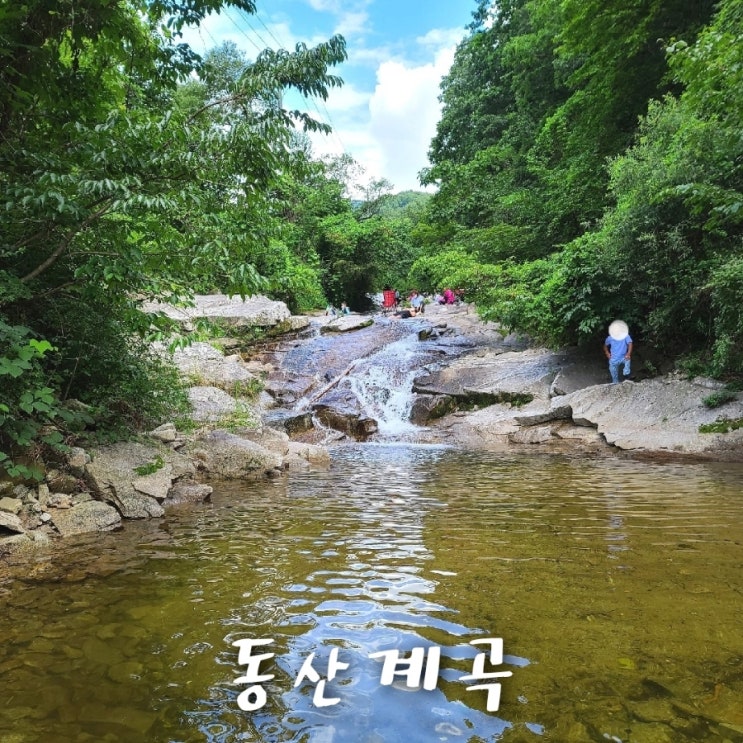  경북 취사가능한 군위 동산계곡 신나는 물놀이