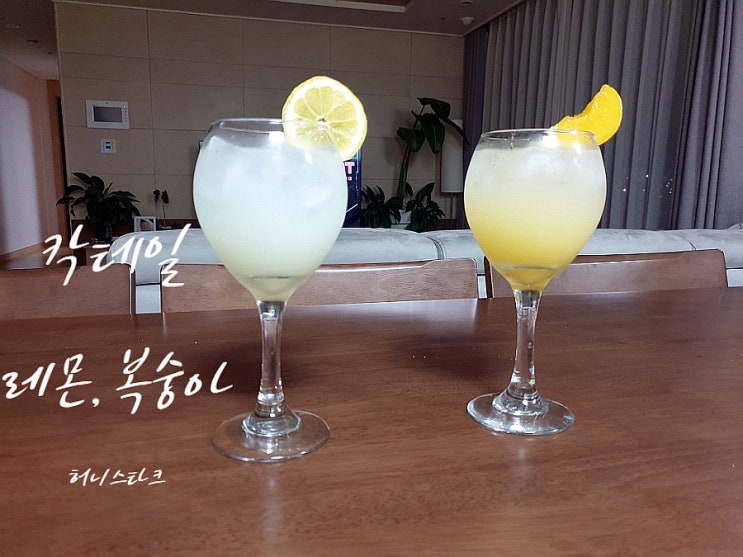  칵테일만들기 집에서 간편하게 즐기는 홈칵테일